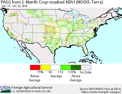 United States PASG from 1-Month Cropland NDVI (Terra-MODIS) Thematic Map For 1/11/2019 - 1/20/2019