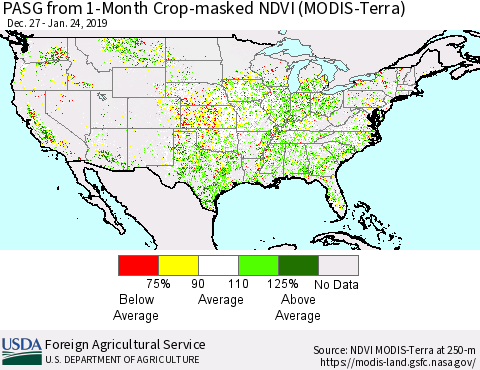 United States PASG from 1-Month Cropland NDVI (Terra-MODIS) Thematic Map For 1/21/2019 - 1/31/2019