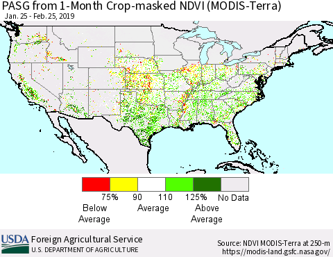 United States PASG from 1-Month Cropland NDVI (Terra-MODIS) Thematic Map For 2/21/2019 - 2/28/2019