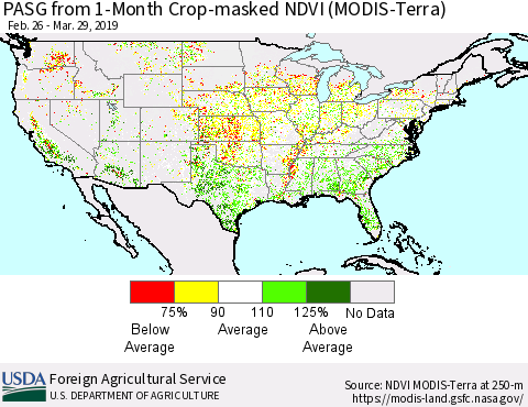 United States PASG from 1-Month Cropland NDVI (Terra-MODIS) Thematic Map For 3/21/2019 - 3/31/2019