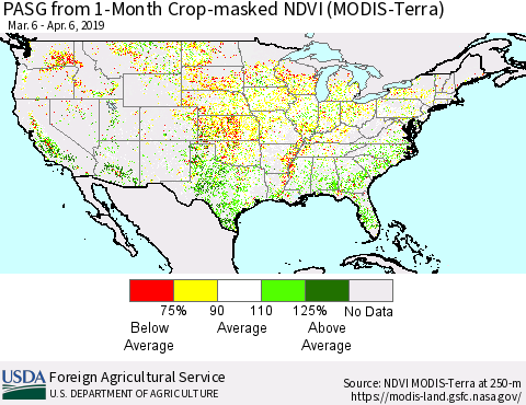 United States PASG from 1-Month Cropland NDVI (Terra-MODIS) Thematic Map For 4/1/2019 - 4/10/2019