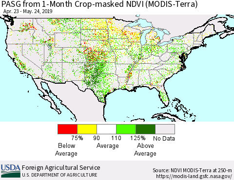 United States PASG from 1-Month Cropland NDVI (Terra-MODIS) Thematic Map For 5/21/2019 - 5/31/2019