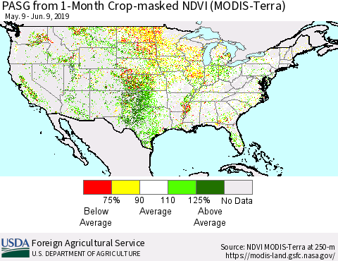 United States PASG from 1-Month Cropland NDVI (Terra-MODIS) Thematic Map For 6/1/2019 - 6/10/2019