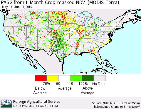 United States PASG from 1-Month Cropland NDVI (Terra-MODIS) Thematic Map For 6/11/2019 - 6/20/2019