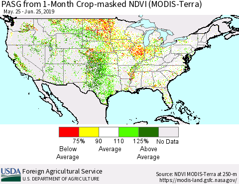 United States PASG from 1-Month Cropland NDVI (Terra-MODIS) Thematic Map For 6/21/2019 - 6/30/2019