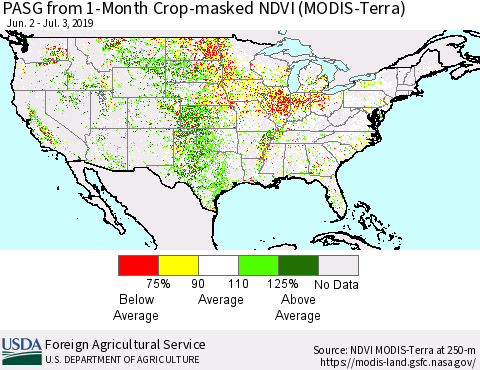 United States PASG from 1-Month Cropland NDVI (Terra-MODIS) Thematic Map For 7/1/2019 - 7/10/2019