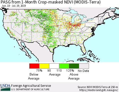 United States PASG from 1-Month Cropland NDVI (Terra-MODIS) Thematic Map For 7/11/2019 - 7/20/2019