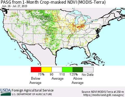 United States PASG from 1-Month Cropland NDVI (Terra-MODIS) Thematic Map For 7/21/2019 - 7/31/2019