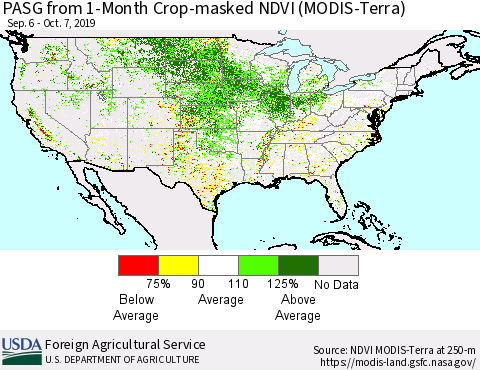 United States PASG from 1-Month Cropland NDVI (Terra-MODIS) Thematic Map For 10/1/2019 - 10/10/2019
