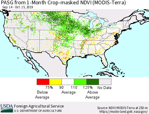 United States PASG from 1-Month Cropland NDVI (Terra-MODIS) Thematic Map For 10/11/2019 - 10/20/2019