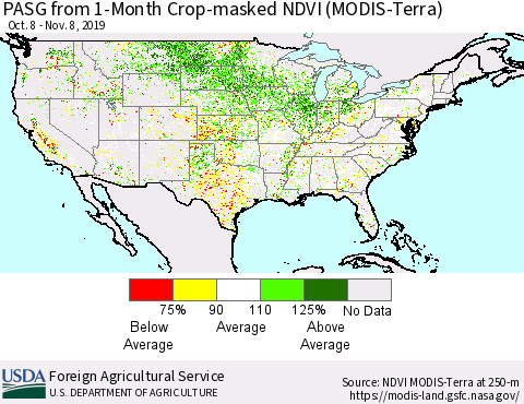 United States PASG from 1-Month Cropland NDVI (Terra-MODIS) Thematic Map For 11/1/2019 - 11/10/2019