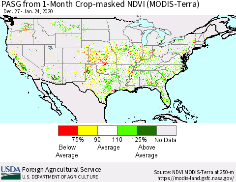 United States PASG from 1-Month Cropland NDVI (Terra-MODIS) Thematic Map For 1/21/2020 - 1/31/2020