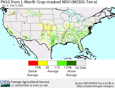 United States PASG from 1-Month Cropland NDVI (Terra-MODIS) Thematic Map For 2/1/2020 - 2/10/2020