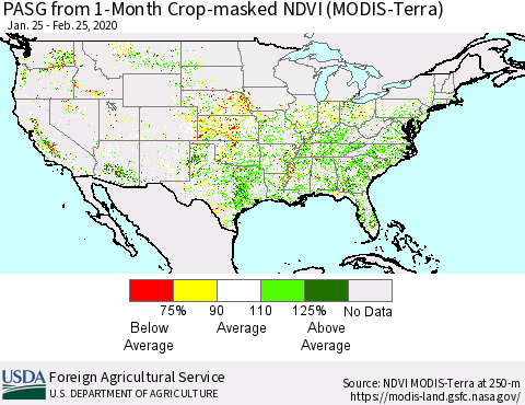 United States PASG from 1-Month Cropland NDVI (Terra-MODIS) Thematic Map For 2/21/2020 - 2/29/2020