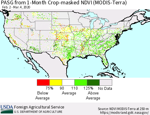 United States PASG from 1-Month Cropland NDVI (Terra-MODIS) Thematic Map For 3/1/2020 - 3/10/2020