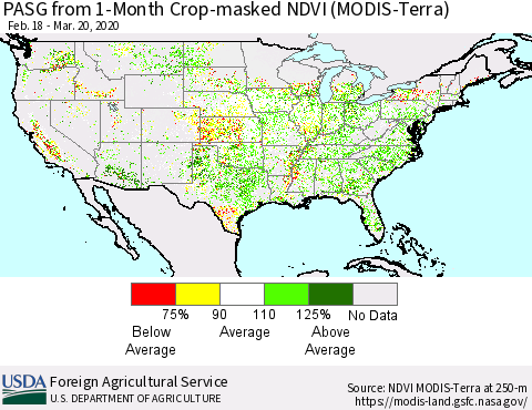 United States PASG from 1-Month Cropland NDVI (Terra-MODIS) Thematic Map For 3/11/2020 - 3/20/2020