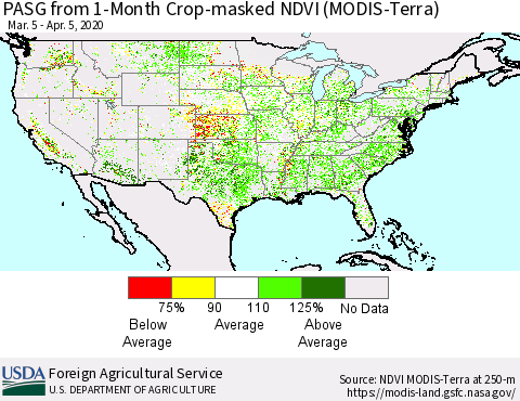 United States PASG from 1-Month Cropland NDVI (Terra-MODIS) Thematic Map For 4/1/2020 - 4/10/2020