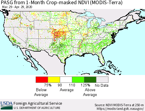 United States PASG from 1-Month Cropland NDVI (Terra-MODIS) Thematic Map For 4/21/2020 - 4/30/2020