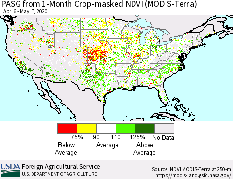United States PASG from 1-Month Cropland NDVI (Terra-MODIS) Thematic Map For 5/1/2020 - 5/10/2020