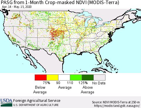 United States PASG from 1-Month Cropland NDVI (Terra-MODIS) Thematic Map For 5/11/2020 - 5/20/2020