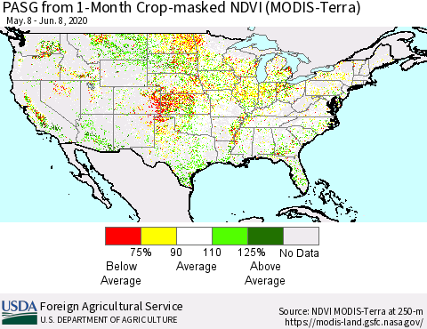 United States PASG from 1-Month Cropland NDVI (Terra-MODIS) Thematic Map For 6/1/2020 - 6/10/2020