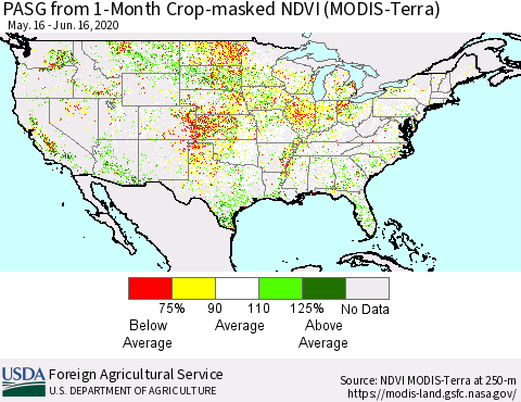 United States PASG from 1-Month Cropland NDVI (Terra-MODIS) Thematic Map For 6/11/2020 - 6/20/2020