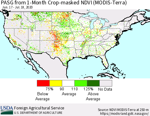 United States PASG from 1-Month Cropland NDVI (Terra-MODIS) Thematic Map For 7/11/2020 - 7/20/2020