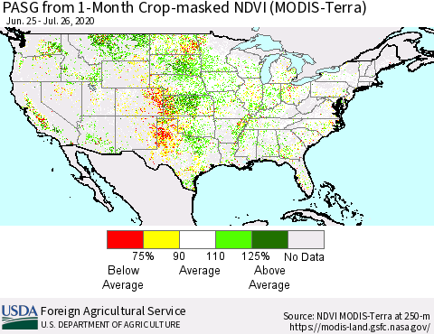 United States PASG from 1-Month Cropland NDVI (Terra-MODIS) Thematic Map For 7/21/2020 - 7/31/2020