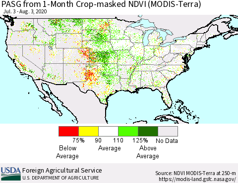 United States PASG from 1-Month Cropland NDVI (Terra-MODIS) Thematic Map For 8/1/2020 - 8/10/2020