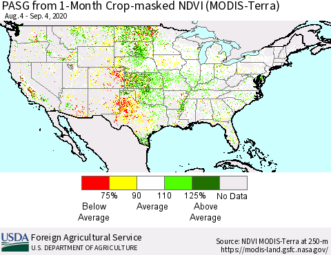 United States PASG from 1-Month Crop-masked NDVI (MODIS-Terra) Thematic Map For 9/1/2020 - 9/10/2020