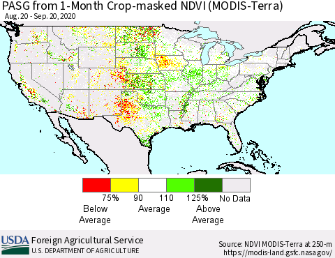 United States PASG from 1-Month Crop-masked NDVI (MODIS-Terra) Thematic Map For 9/11/2020 - 9/20/2020