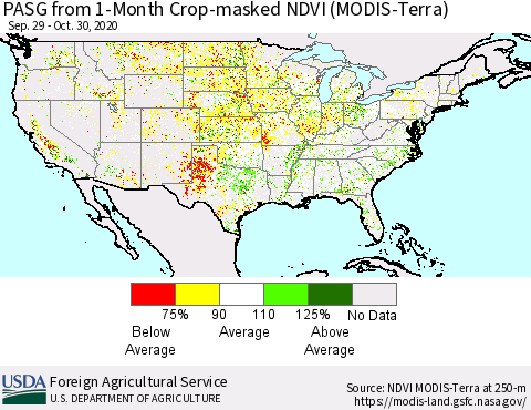 United States PASG from 1-Month Crop-masked NDVI (MODIS-Terra) Thematic Map For 10/21/2020 - 10/31/2020