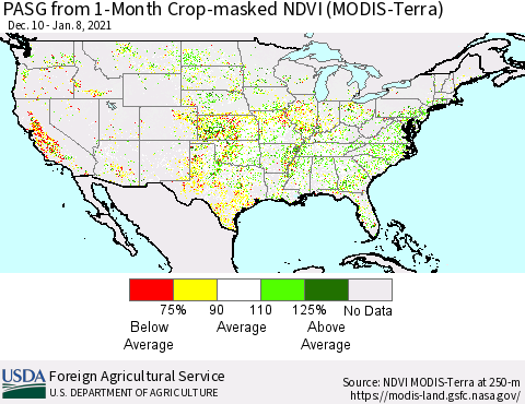 United States PASG from 1-Month Cropland NDVI (Terra-MODIS) Thematic Map For 1/1/2021 - 1/10/2021