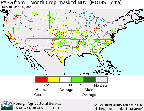 United States PASG from 1-Month Crop-masked NDVI (MODIS-Terra) Thematic Map For 1/11/2021 - 1/20/2021