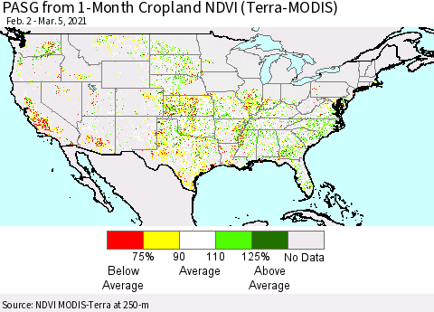 United States PASG from 1-Month Cropland NDVI (Terra-MODIS) Thematic Map For 2/26/2021 - 3/5/2021