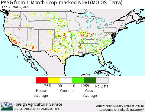 United States PASG from 1-Month Crop-masked NDVI (MODIS-Terra) Thematic Map For 3/1/2021 - 3/10/2021