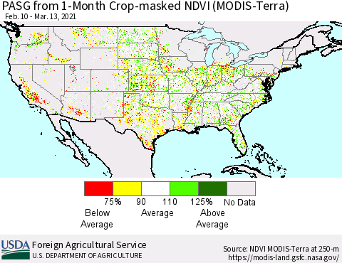 United States PASG from 1-Month Crop-masked NDVI (MODIS-Terra) Thematic Map For 3/11/2021 - 3/20/2021