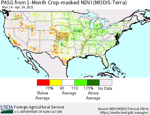 United States PASG from 1-Month Cropland NDVI (Terra-MODIS) Thematic Map For 4/11/2021 - 4/20/2021