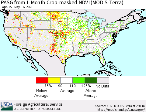 United States PASG from 1-Month Cropland NDVI (Terra-MODIS) Thematic Map For 5/11/2021 - 5/20/2021