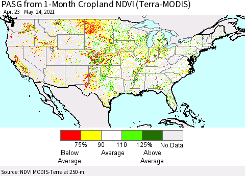 United States PASG from 1-Month Cropland NDVI (Terra-MODIS) Thematic Map For 5/17/2021 - 5/24/2021