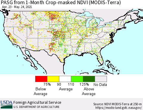 United States PASG from 1-Month Cropland NDVI (Terra-MODIS) Thematic Map For 5/21/2021 - 5/31/2021