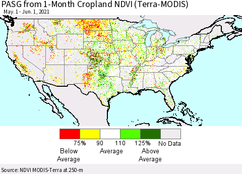 United States PASG from 1-Month Cropland NDVI (Terra-MODIS) Thematic Map For 5/25/2021 - 6/1/2021