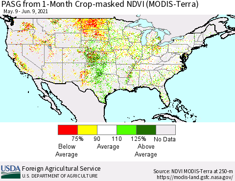 United States PASG from 1-Month Cropland NDVI (Terra-MODIS) Thematic Map For 6/1/2021 - 6/10/2021