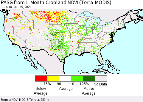 United States PASG from 1-Month Cropland NDVI (Terra-MODIS) Thematic Map For 7/12/2021 - 7/19/2021