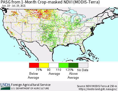 United States PASG from 1-Month Crop-masked NDVI (MODIS-Terra) Thematic Map For 7/11/2021 - 7/20/2021