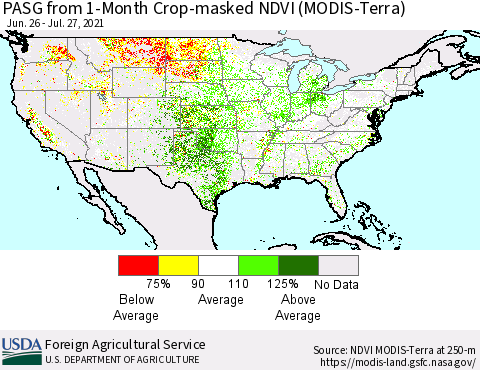 United States PASG from 1-Month Cropland NDVI (Terra-MODIS) Thematic Map For 7/21/2021 - 7/31/2021