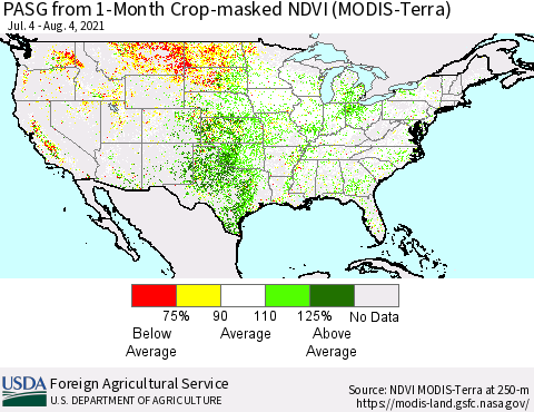 United States PASG from 1-Month Cropland NDVI (Terra-MODIS) Thematic Map For 8/1/2021 - 8/10/2021