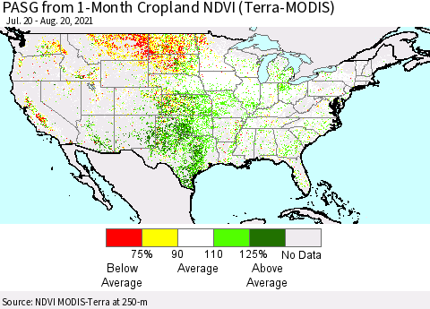 United States PASG from 1-Month Cropland NDVI (Terra-MODIS) Thematic Map For 8/11/2021 - 8/20/2021