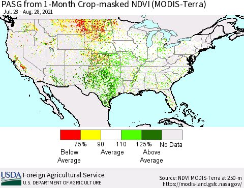 United States PASG from 1-Month Cropland NDVI (Terra-MODIS) Thematic Map For 8/21/2021 - 8/31/2021