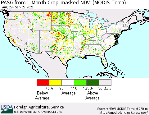 United States PASG from 1-Month Cropland NDVI (Terra-MODIS) Thematic Map For 9/21/2021 - 9/30/2021